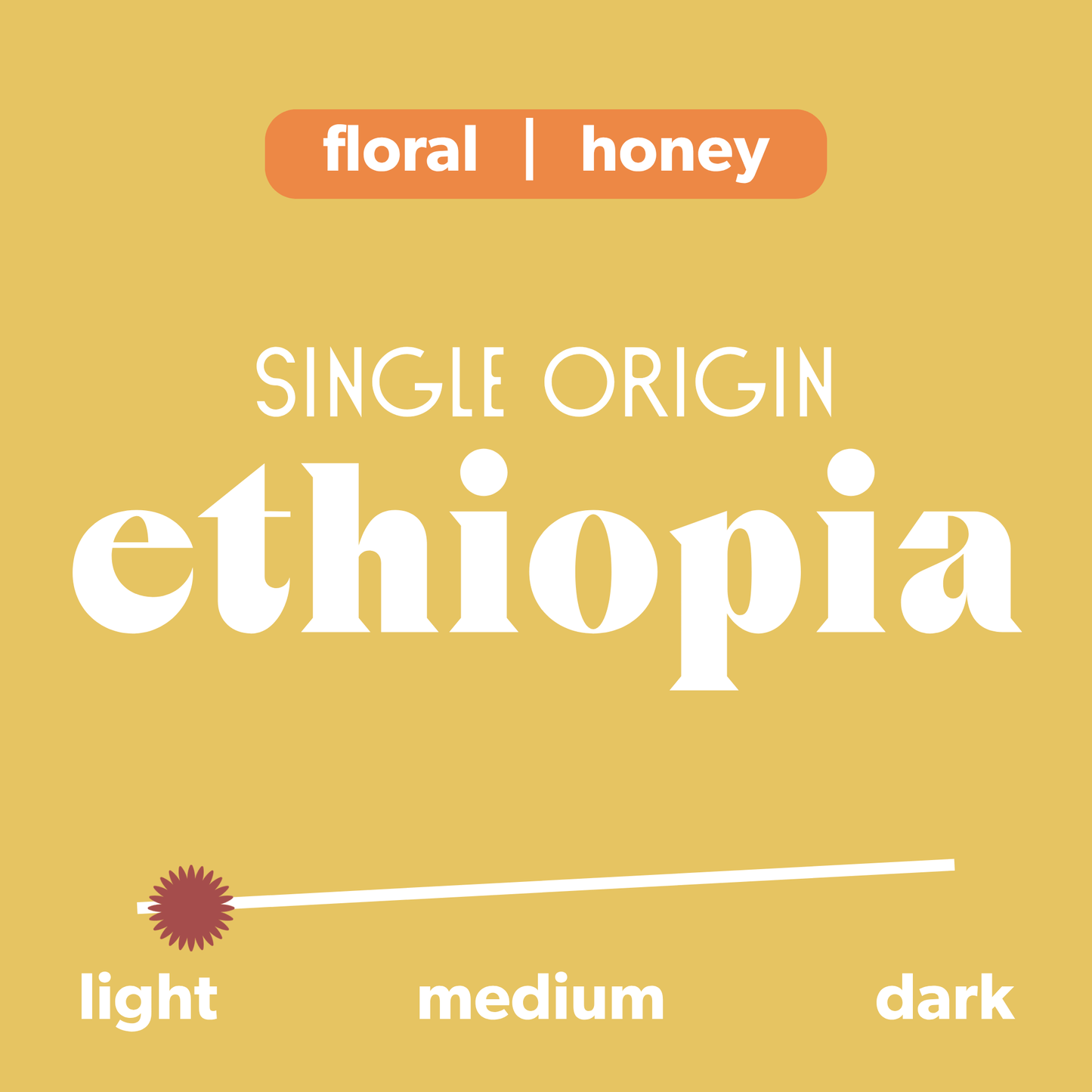 Information about Rise. The information shows that this is a single origin from Ethiopia with tasting notes of "Floral | Honey" and shows the coffee being a light roast.