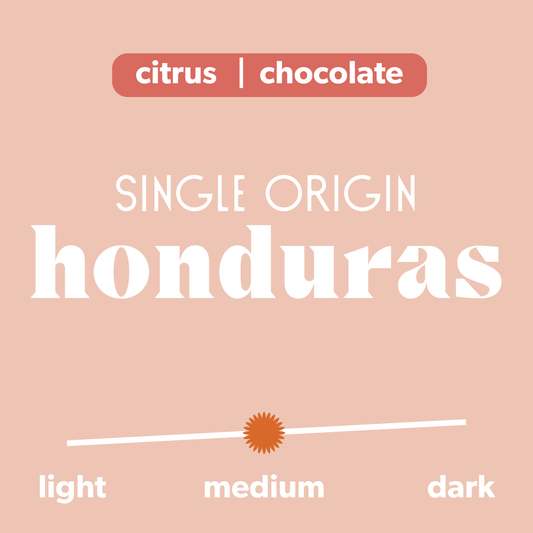 Information about Stride. The information shows that this is a single origin from Honduras with tasting notes of "Citrus | Chocolate" and shows the coffee being a medium roast.