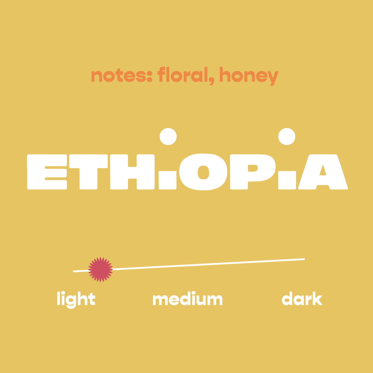 Rise | Light Roast Coffee