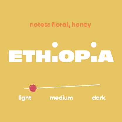 Rise | Light Roast Coffee