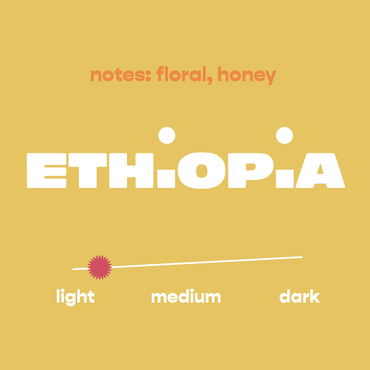 Rise | Light Roast Coffee